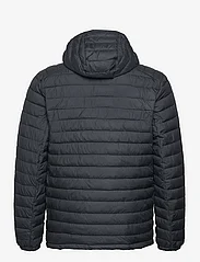 Columbia Sportswear - Silver Falls Hooded Jacket - vinterjakker - black - 1