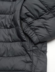 Columbia Sportswear - Silver Falls Hooded Jacket - vinterjackor - black - 3