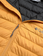 Columbia Sportswear - Silver Falls Hooded Jacket - talvitakit - raw honey - 2
