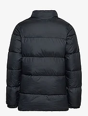 Columbia Sportswear - Puffect Jacket - insulated jackets - black - 1