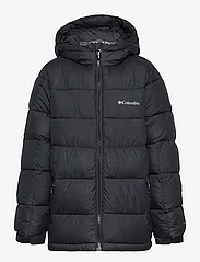 Columbia Sportswear - Pike Lake II Hooded Jacket - pūkinės striukės - black - 0