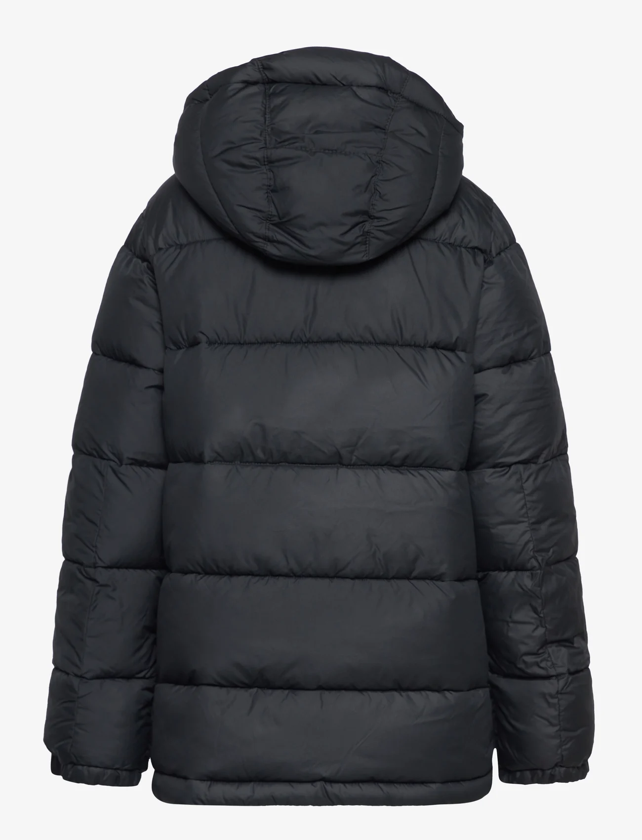 Columbia Sportswear - Pike Lake II Hooded Jacket - pūkinės striukės - black - 1