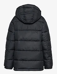 Columbia Sportswear - Pike Lake II Hooded Jacket - pūkinės striukės - black - 1