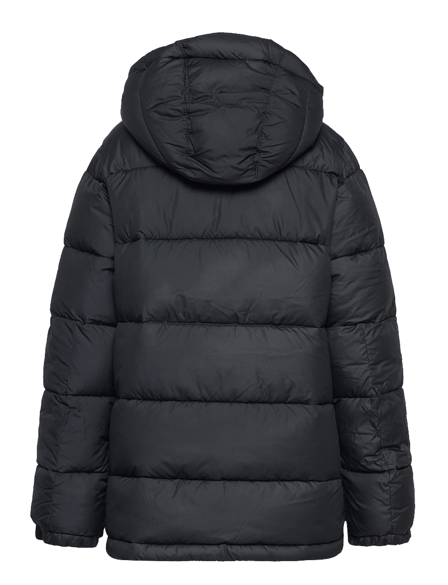 Columbia Sportswear - Pike Lake II Hooded Jacket - isolierte jacken - black - 1