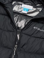 Columbia Sportswear - Pike Lake II Hooded Jacket - isolerede jakker - black - 2