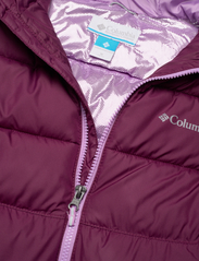 Columbia Sportswear - Pike Lake II Hooded Jacket - untuva- & toppatakit - marionberry - 2