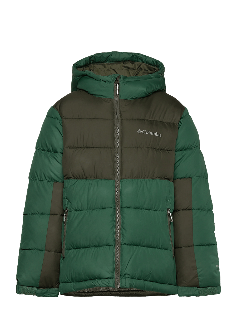 Columbia Sportswear - Pike Lake II Hooded Jacket - vestes thermo-isolantes - rain forest, greenscape - 0