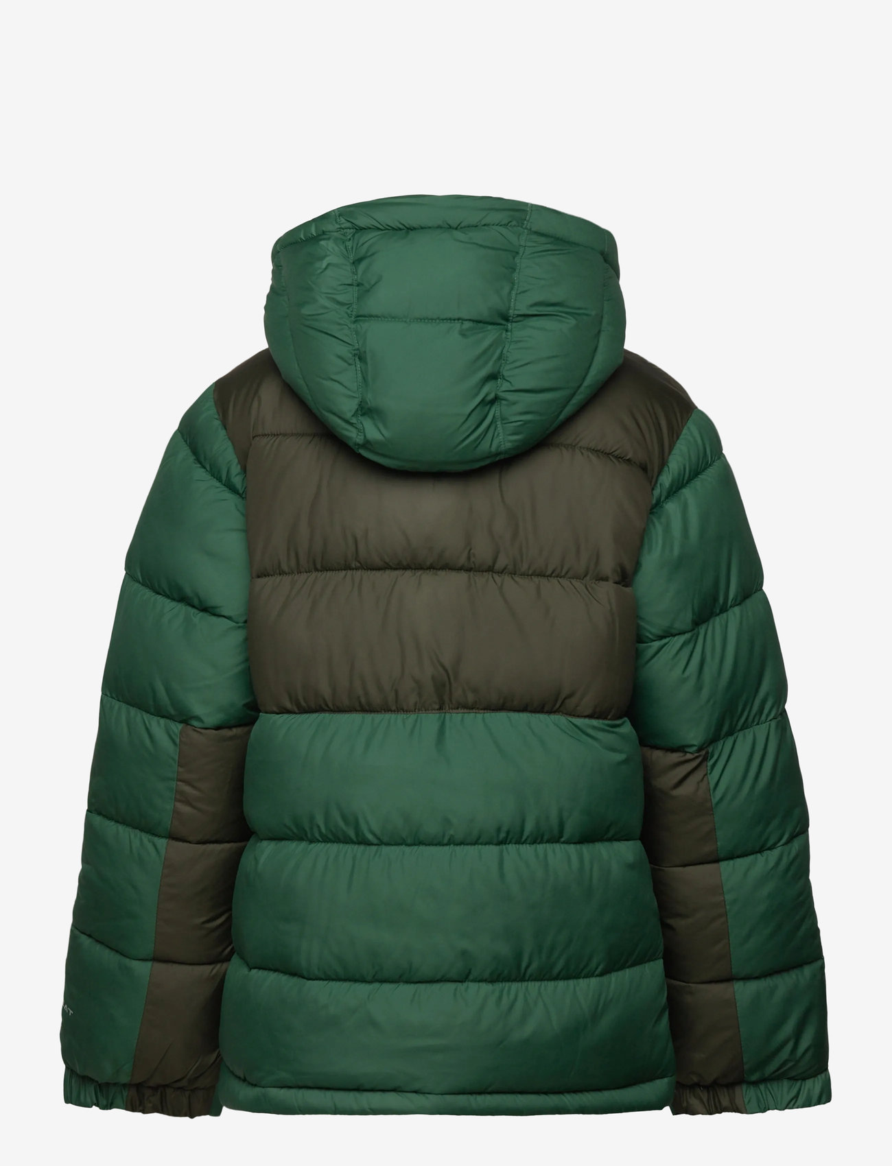 Columbia Sportswear - Pike Lake II Hooded Jacket - isolerede jakker - rain forest, greenscape - 1