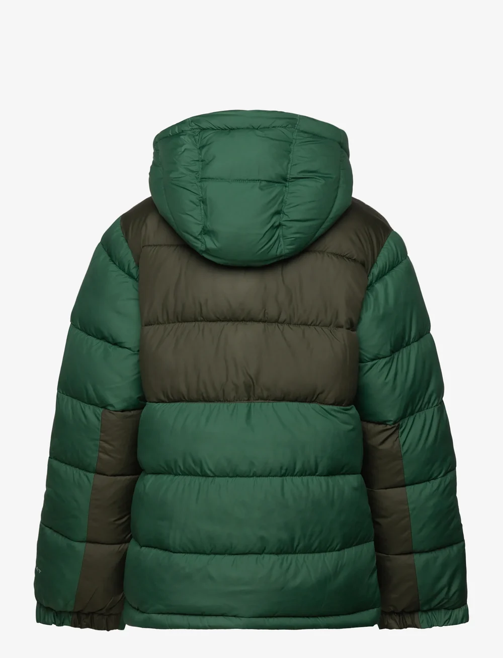 Columbia Sportswear - Pike Lake II Hooded Jacket - isolierte jacken - rain forest, greenscape - 1