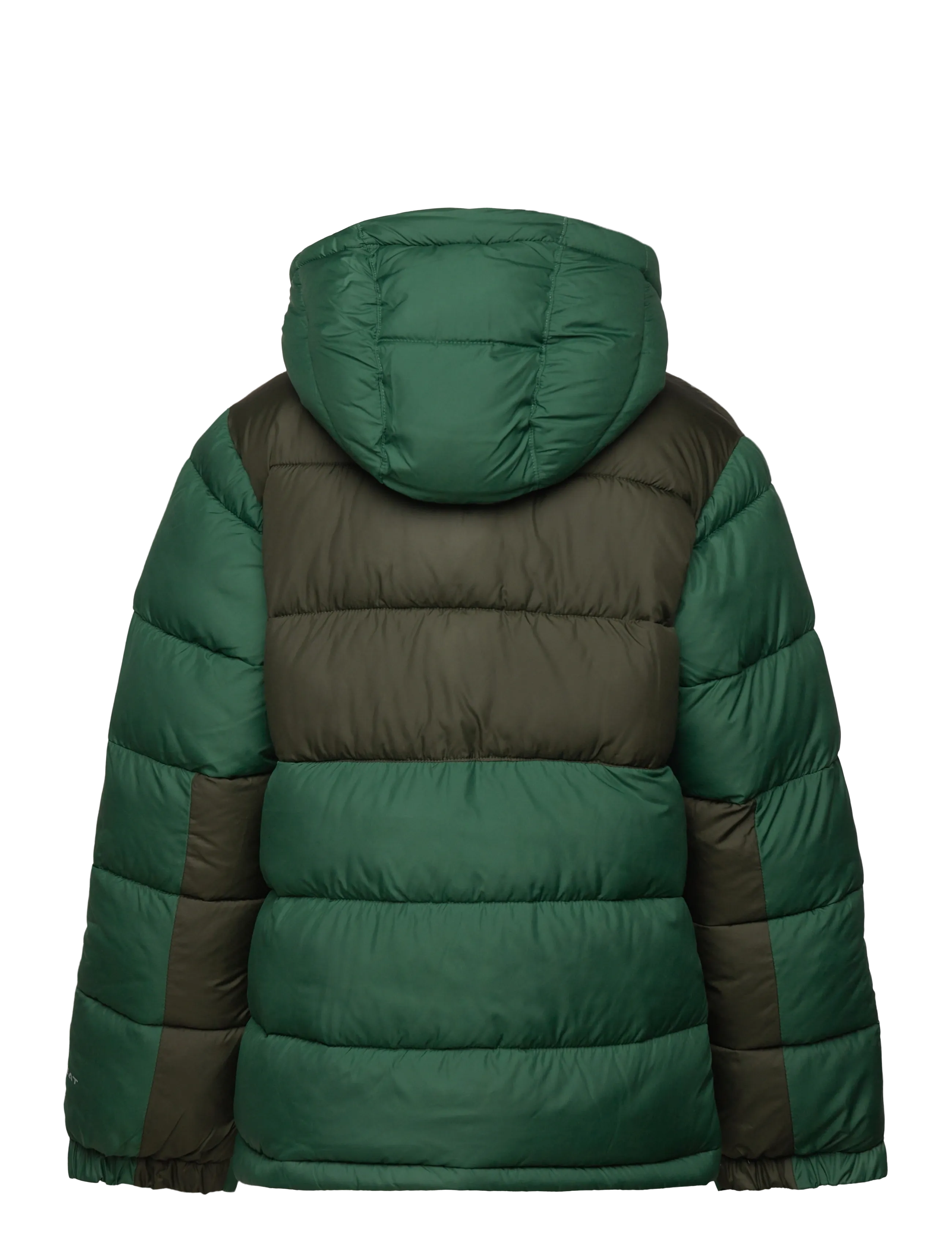 Columbia Sportswear - Pike Lake II Hooded Jacket - vestes thermo-isolantes - rain forest, greenscape - 1