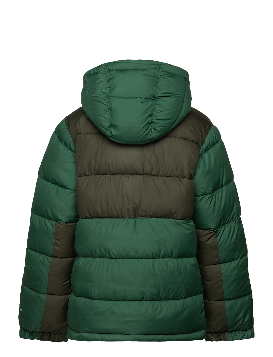 Columbia Sportswear - Pike Lake II Hooded Jacket - vestes thermo-isolantes - rain forest, greenscape - 1