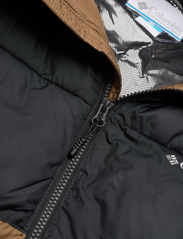 Columbia Sportswear - Pike Lake II Hooded Jacket - Žieminės striukės - delta, black - 2