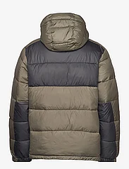 Columbia Sportswear - Pike Lake II Hooded Jacket - vinterjackor - stone green, shark - 1