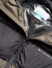 Columbia Sportswear - Pike Lake II Hooded Jacket - talvitakit - stone green, shark - 2