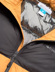 Columbia Sportswear - Pike Lake II Jacket - vinterjakker - raw honey, shark - 2