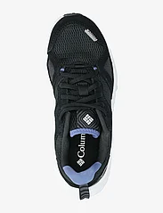 Columbia Sportswear - BETHANY - hiking shoes - black, cosmos - 3
