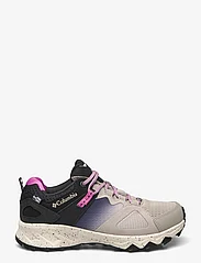 Columbia Sportswear - PEAKFREAK HERA OUTDRY - hiking shoes - flint grey, berry patch - 1