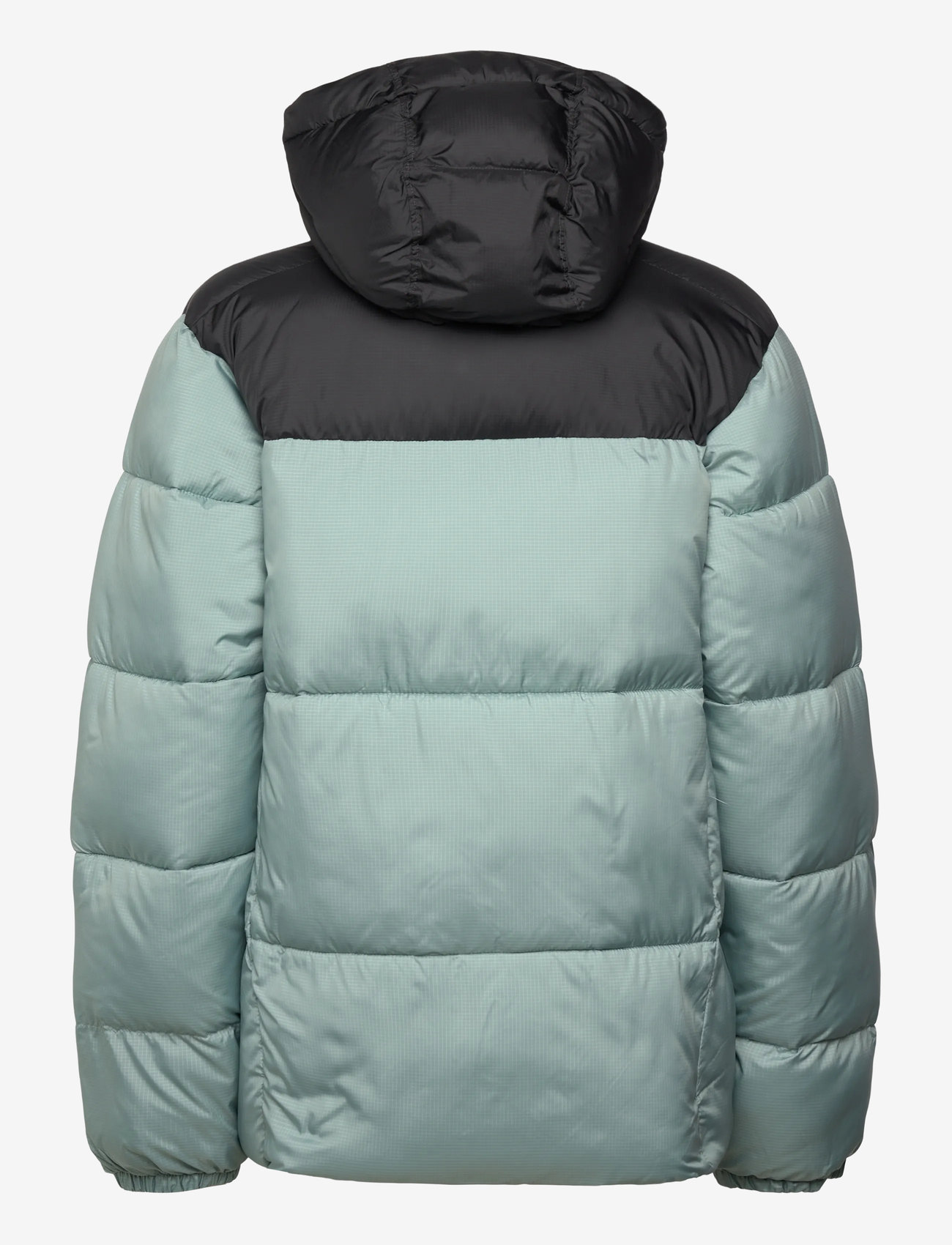 Columbia Sportswear Puffect Ii Hooded Jacket (CSR2086851) - Down