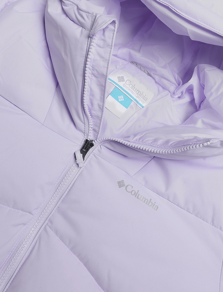 Columbia Sportswear - Arctic Blast II Jacket - skidjackor - purple tint, paisley purple - 2