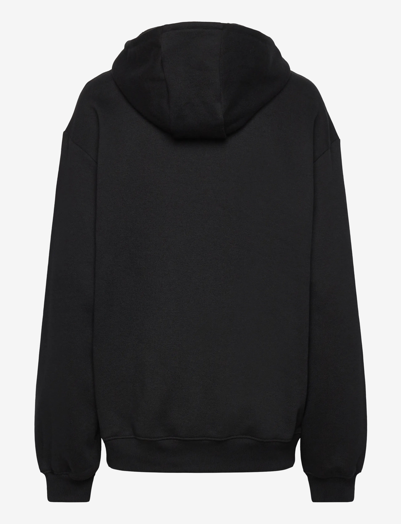Columbia Sportswear - Aldermore Hoodie - overdele - black - 1