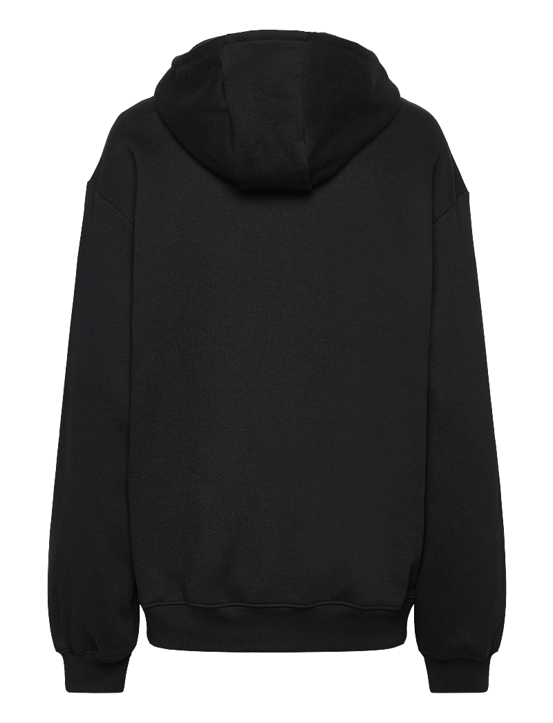 Columbia Sportswear - Aldermore Hoodie - huvtröjor - black - 1