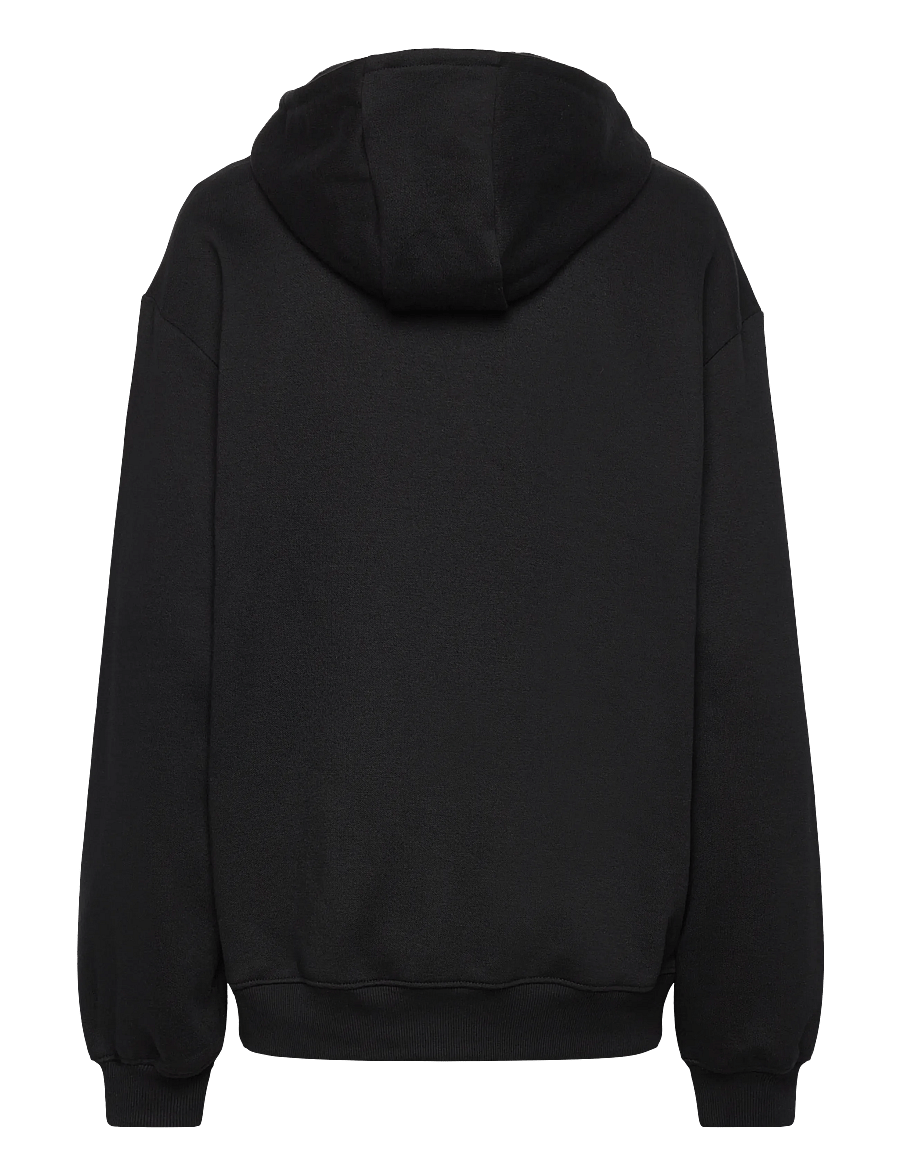 Columbia Sportswear - Aldermore Hoodie - kapuutsiga dressipluusid - black - 1