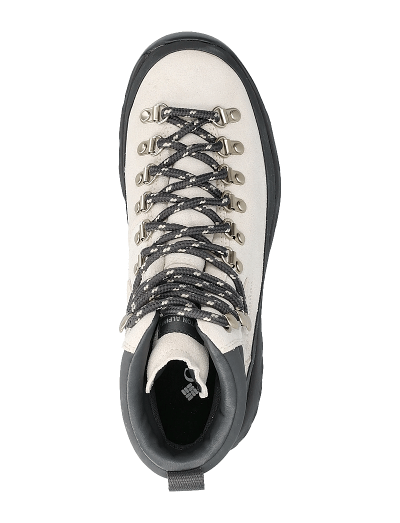 Columbia Sportswear - NEWTON ALPINE PT - matka- ja kõndimisjalatsid - cloud grey, shark - 3