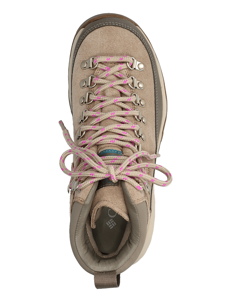 Columbia Sportswear - NEWTON ALPINE PT - wanderschuhe - oxford tan, foxglove - 3