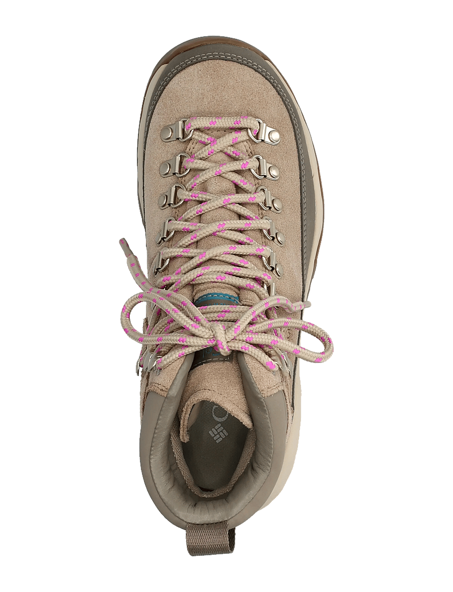 Columbia Sportswear - NEWTON ALPINE PT - vandresko - oxford tan, foxglove - 3