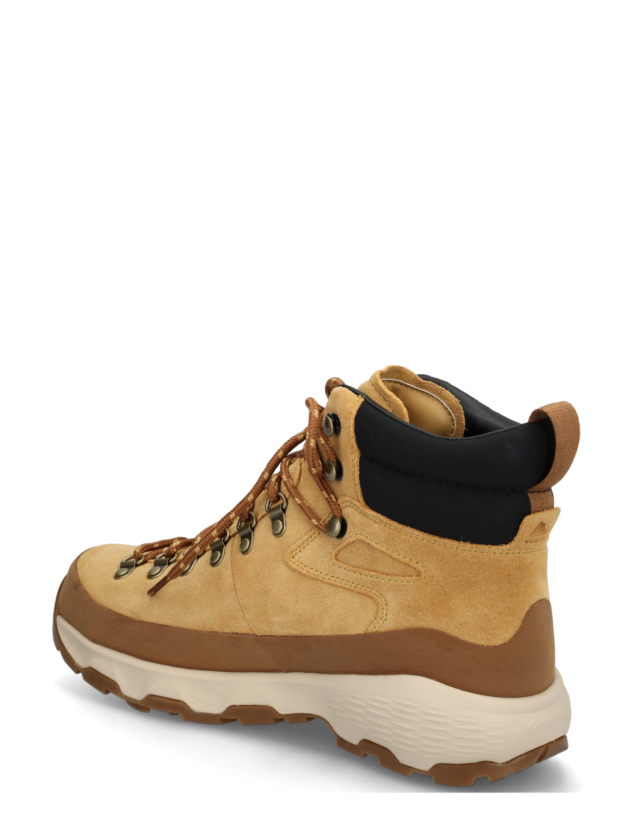 Columbia Sportswear - NEWTON ALPINE PT - vandringsskor - curry, black - 1