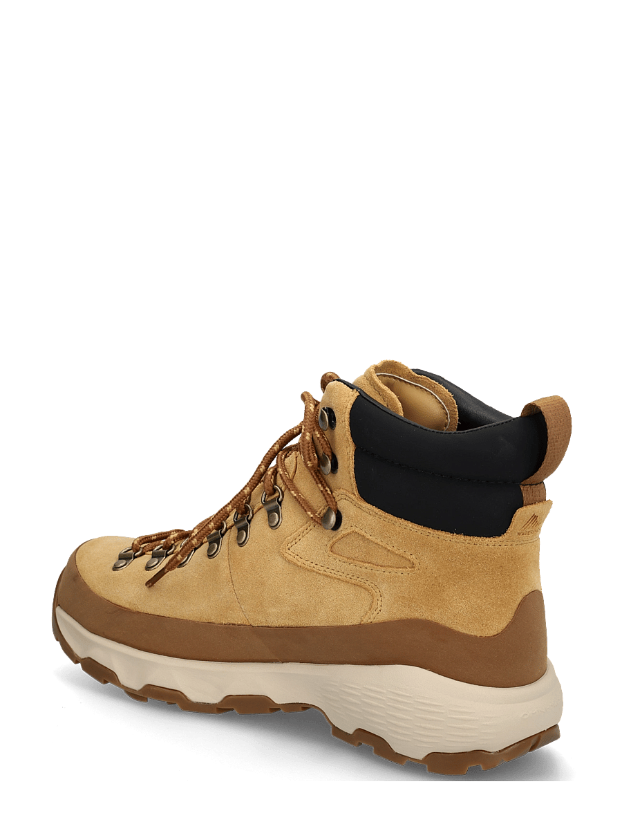 Columbia Sportswear - NEWTON ALPINE PT - vandringsskor - curry, black - 1