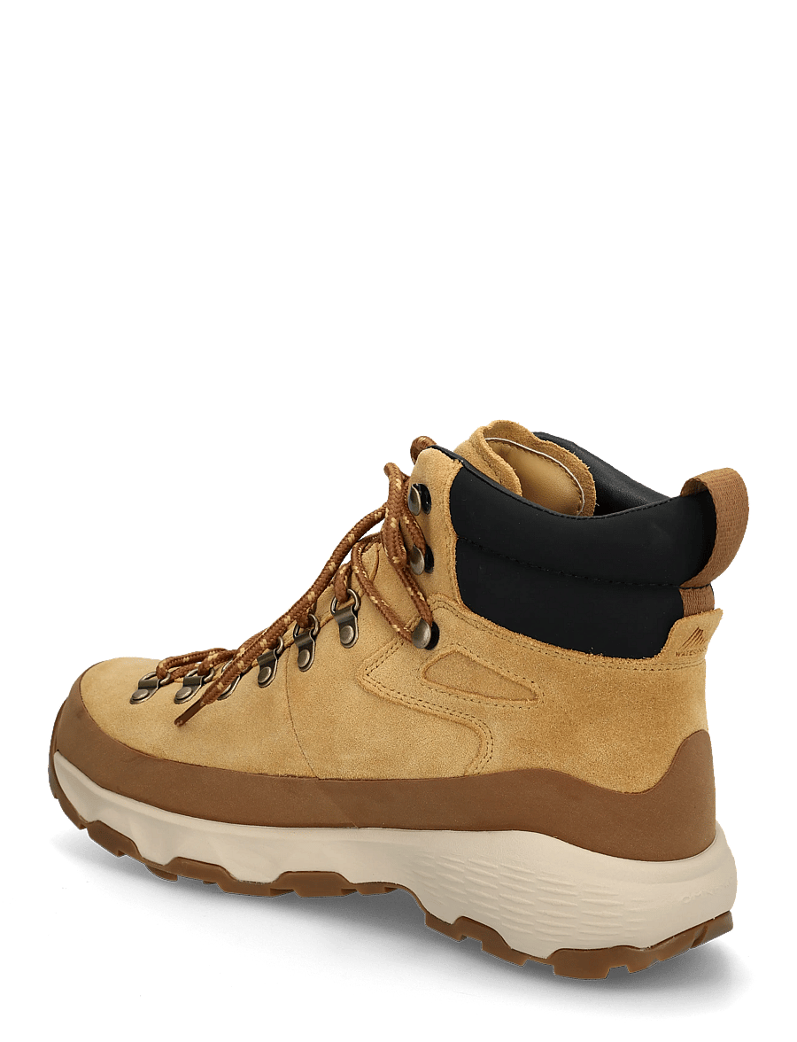 Columbia Sportswear - NEWTON ALPINE PT - vandringsskor - curry, black - 1