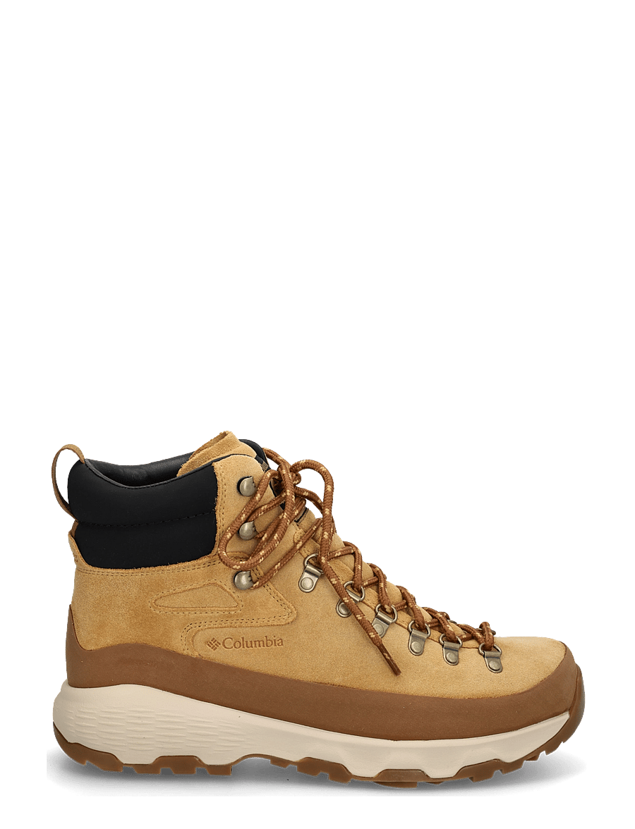 Columbia Sportswear - NEWTON ALPINE PT - vandringsskor - curry, black - 2