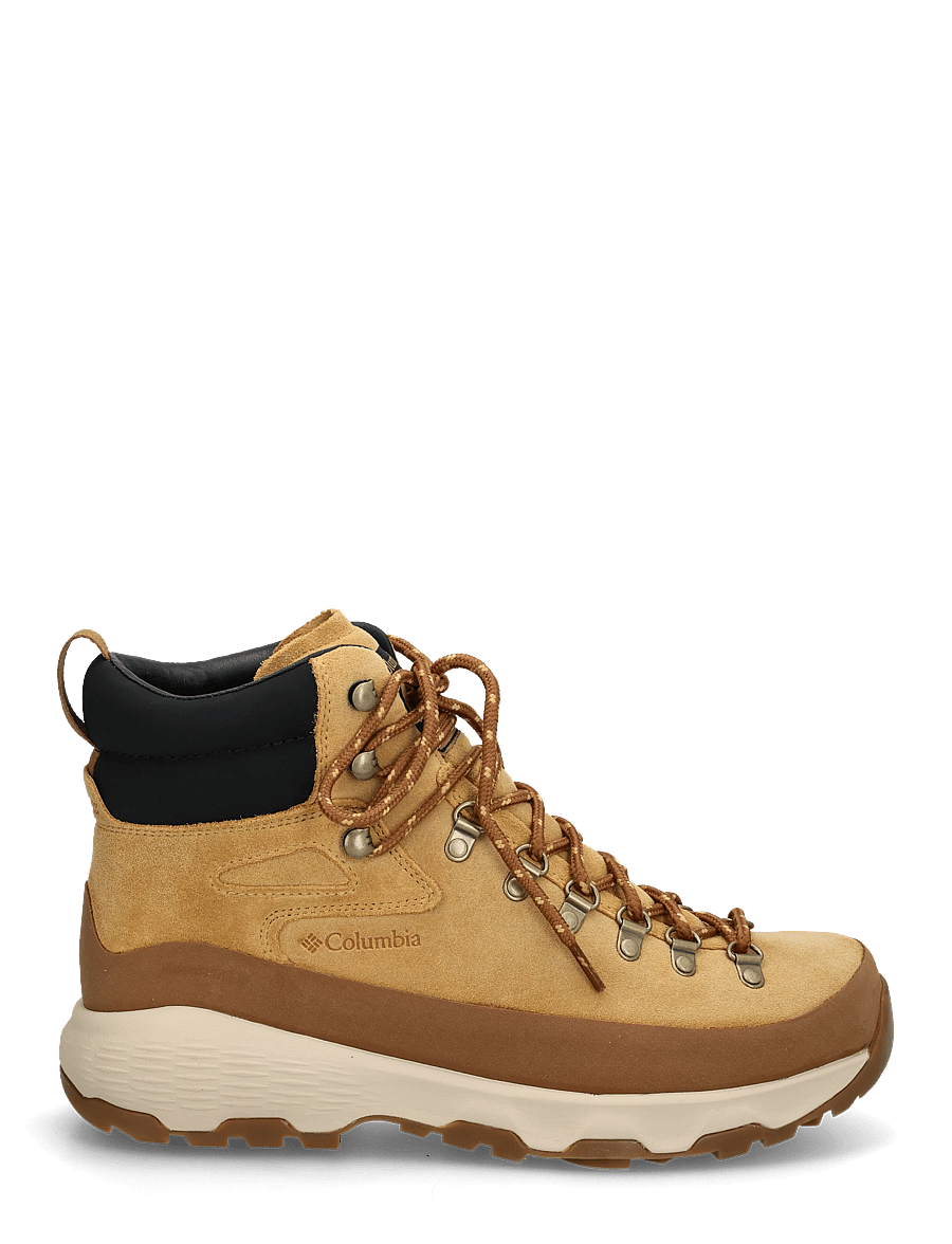 Columbia Sportswear - NEWTON ALPINE PT - vandringsskor - curry, black - 2