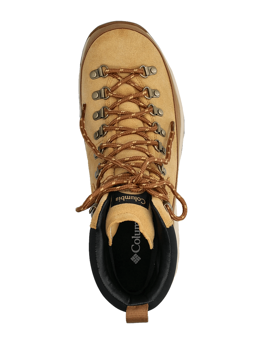 Columbia Sportswear - NEWTON ALPINE PT - vandringsskor - curry, black - 3