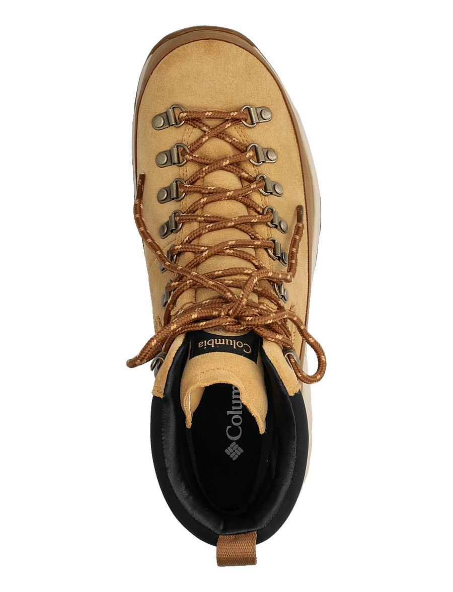 Columbia Sportswear - NEWTON ALPINE PT - vandringsskor - curry, black - 3