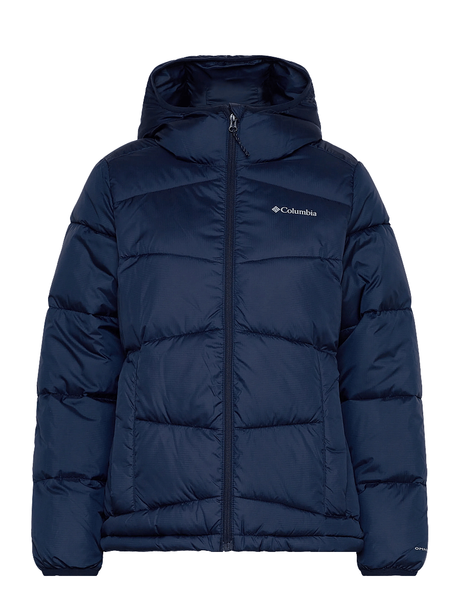 Columbia Sportswear - Fivemile Butte Hooded Jacket - winterjacken - collegiate navy - 0