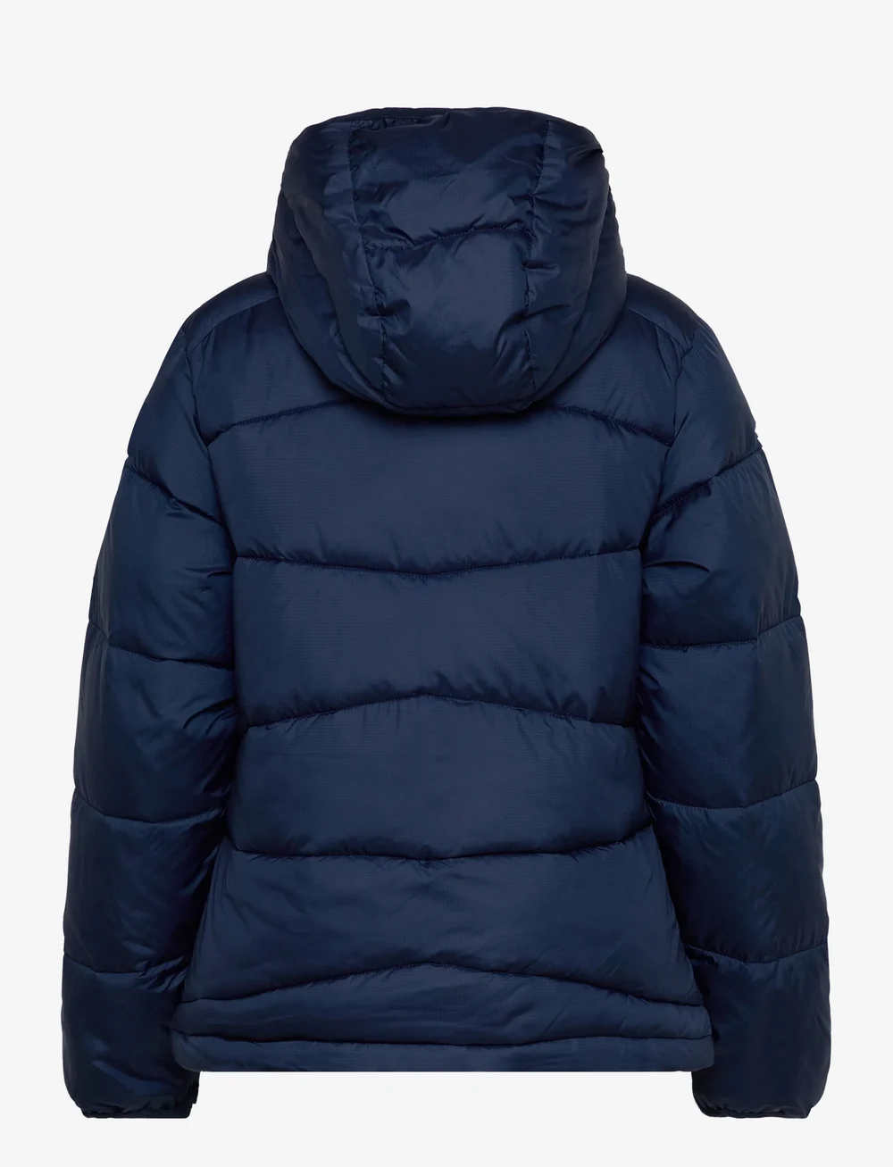 Columbia Sportswear - Fivemile Butte Hooded Jacket - dunjakker - collegiate navy - 1