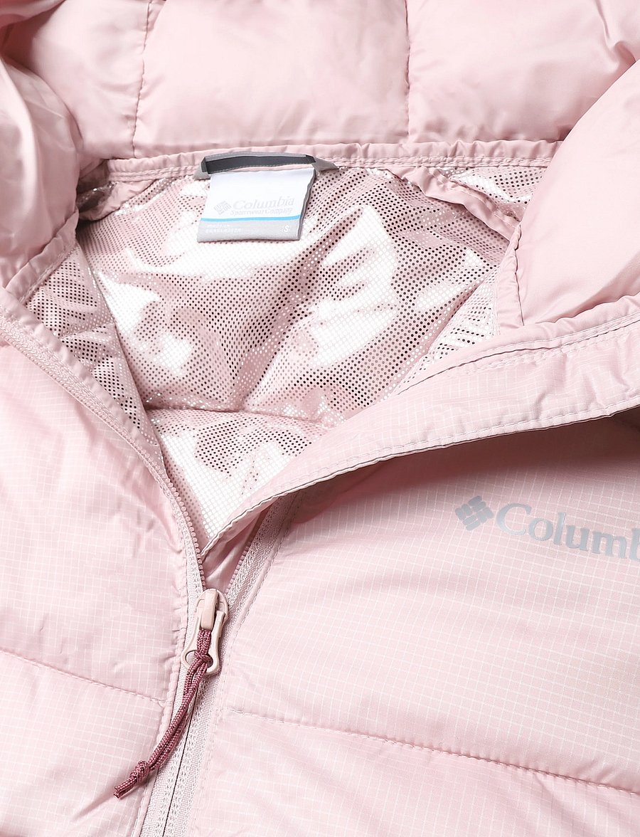 Columbia Sportswear - Fivemile Butte Hooded Jacket - sulejoped ja voodriga joped - mineral pink - 2