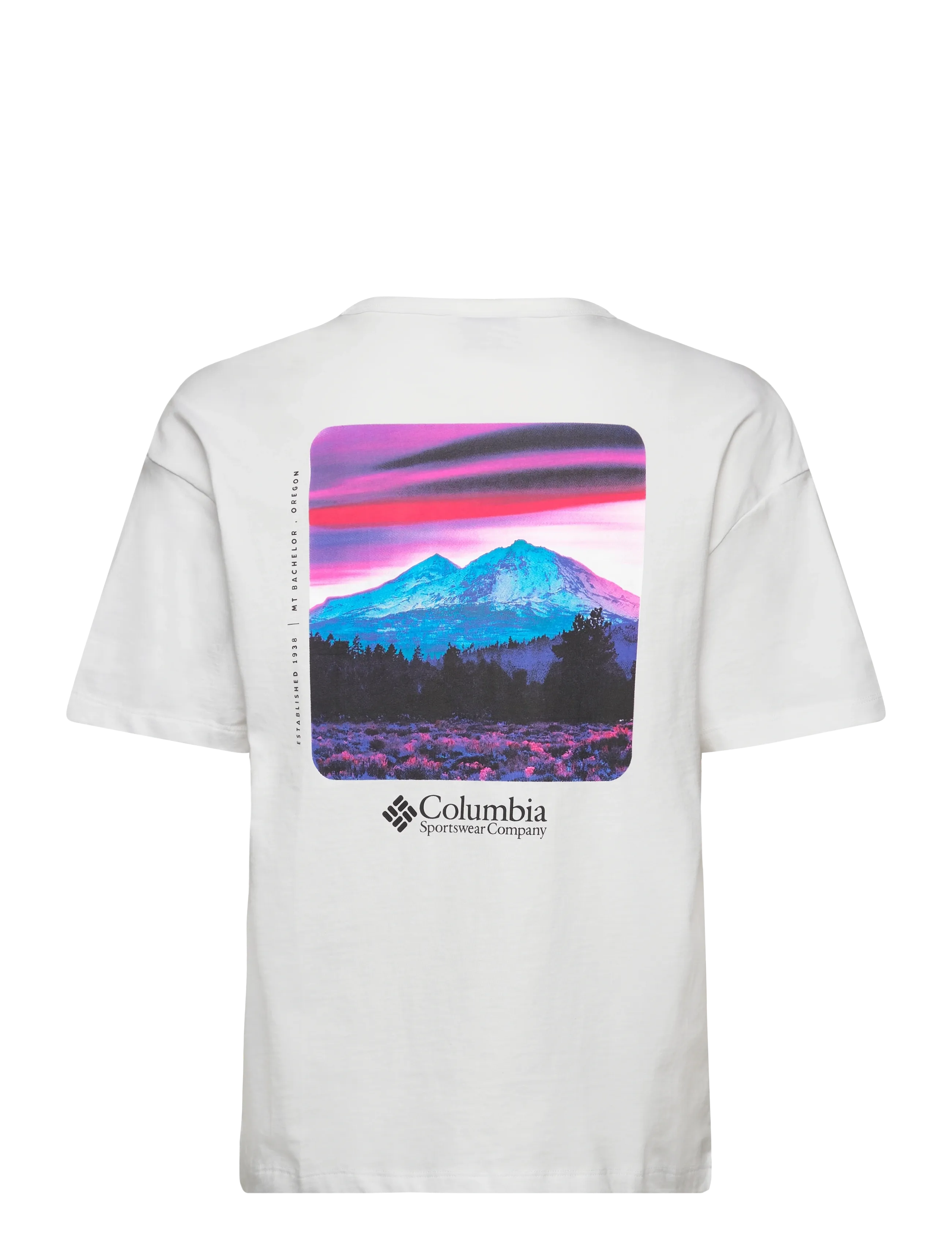 Columbia Sportswear - CSC Heavyweight Graphic Tee - t-shirts - white, hoodscape - 1