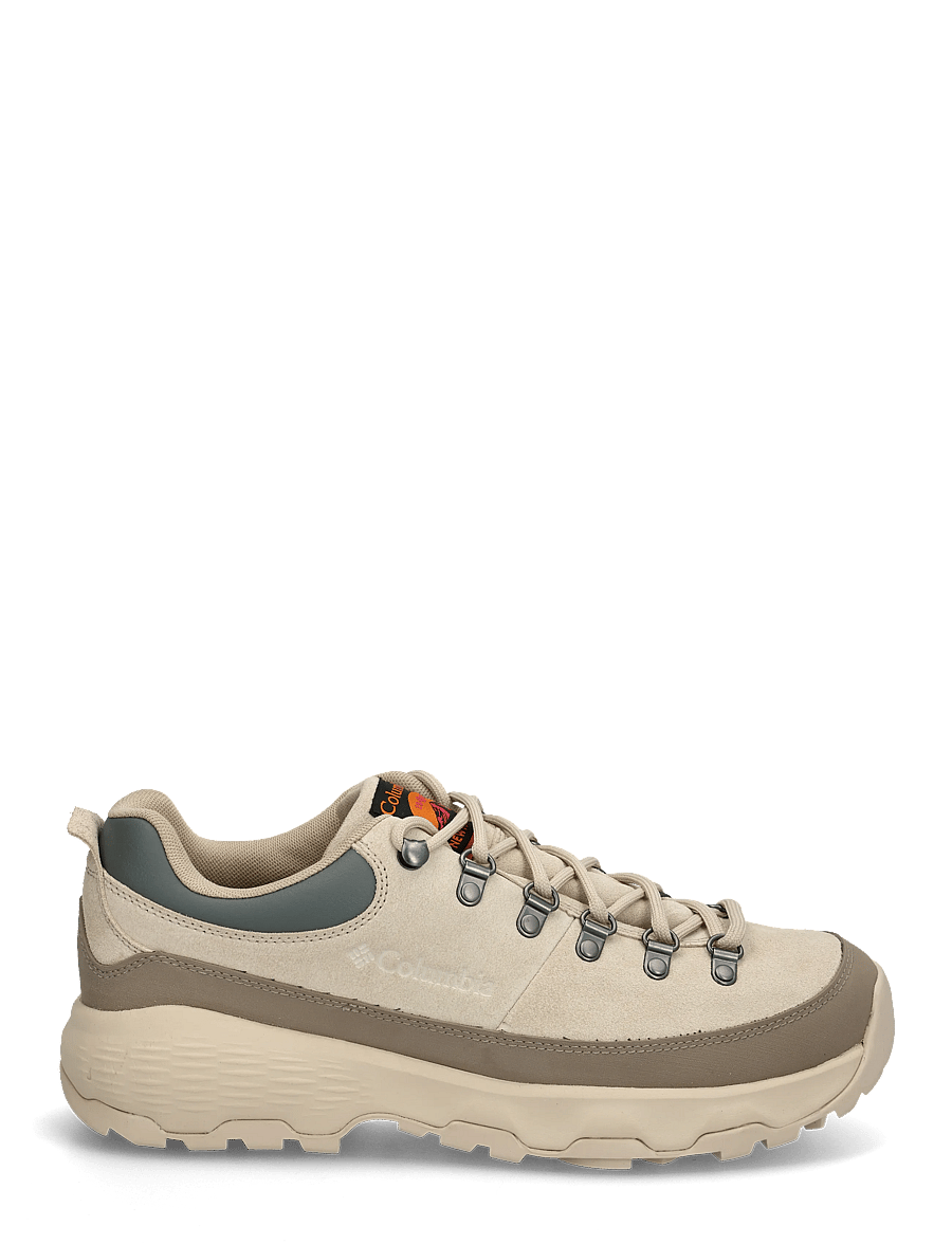 Columbia Sportswear - NEWTON ALPINE LOW - wanderschuhe - fossil, sedona sage - 2
