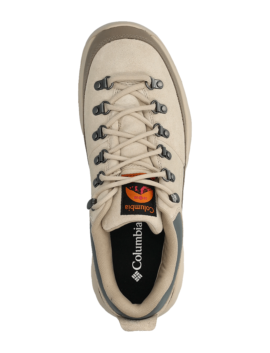 Columbia Sportswear - NEWTON ALPINE LOW - wanderschuhe - fossil, sedona sage - 3