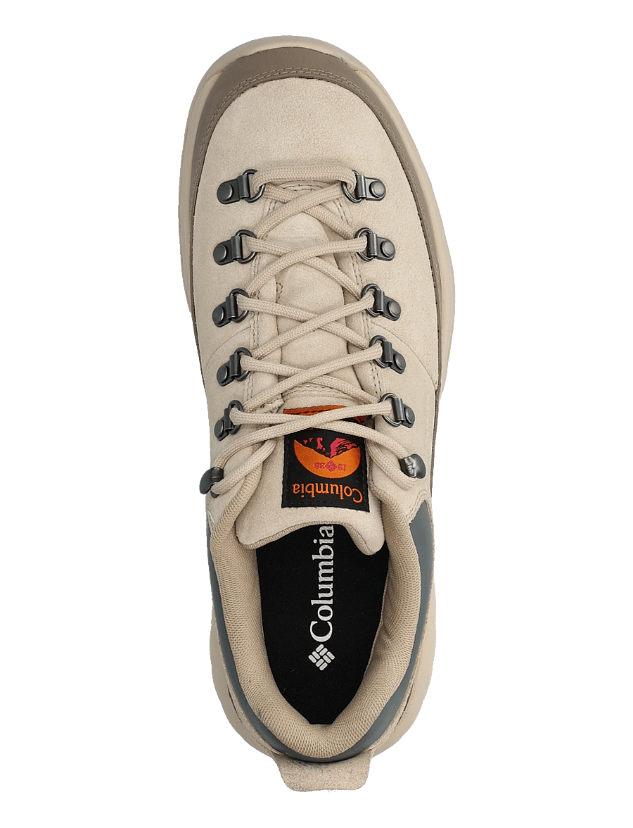 Columbia Sportswear - NEWTON ALPINE LOW - vandringsskor - fossil, sedona sage - 3