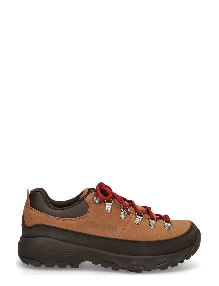 Columbia Sportswear - NEWTON ALPINE LOW - vandringsskor - grizzly bear, red oxide - 2