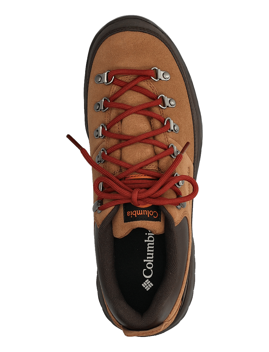 Columbia Sportswear - NEWTON ALPINE LOW - vandringsskor - grizzly bear, red oxide - 3