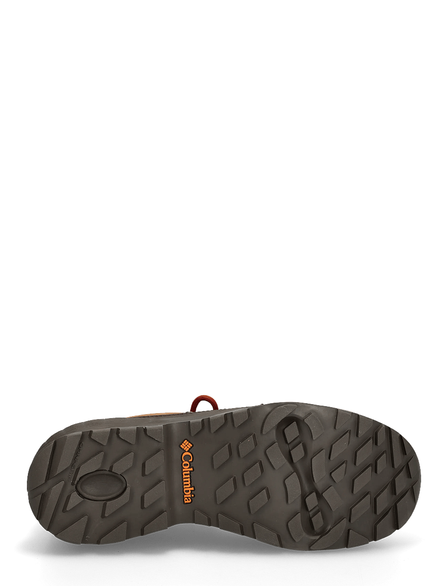 Columbia Sportswear - NEWTON ALPINE LOW - vandringsskor - grizzly bear, red oxide - 4