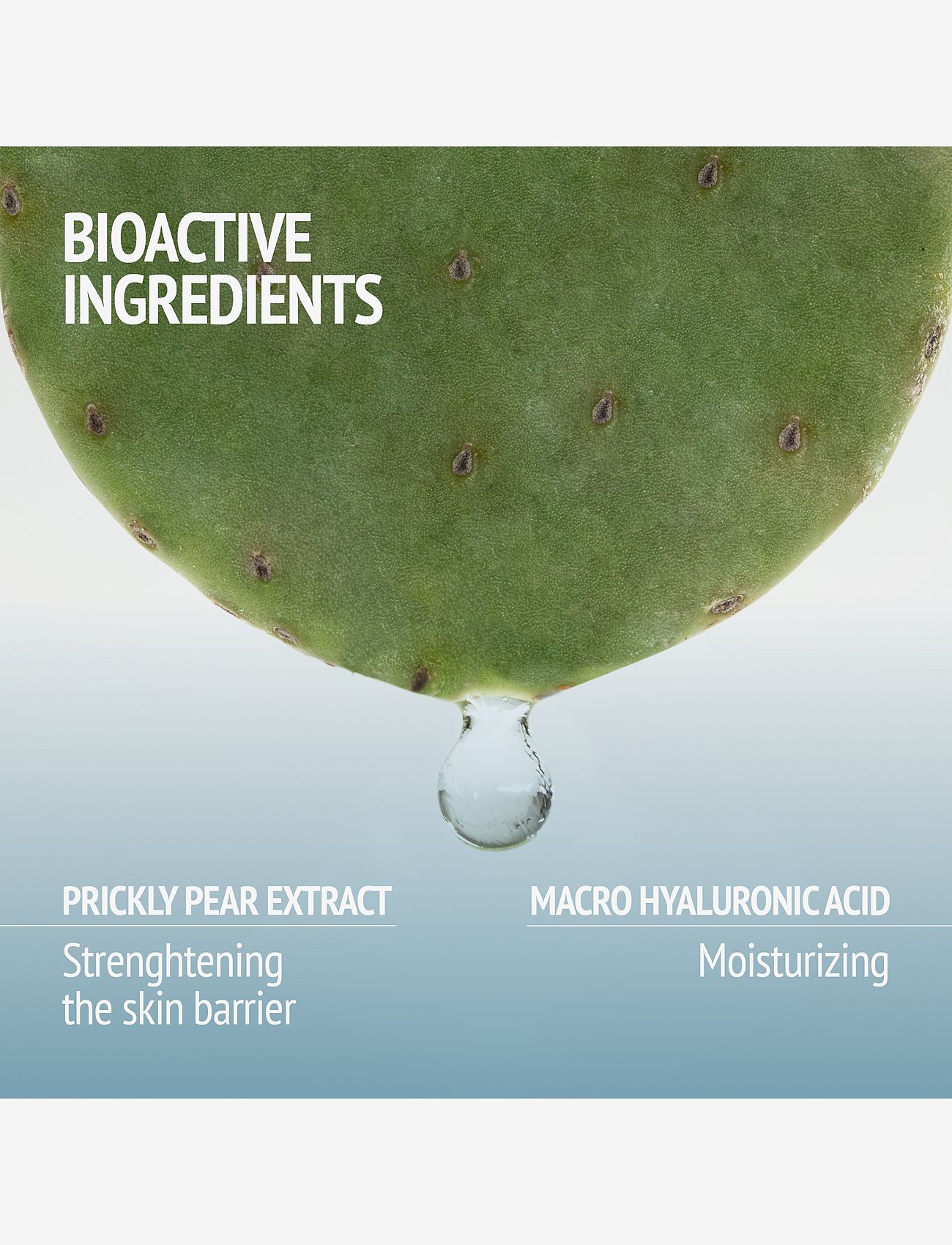 Comfort Zone - Hydramemory Rich Sorbet Cream - drėkinamosios priemonės - clear - 4