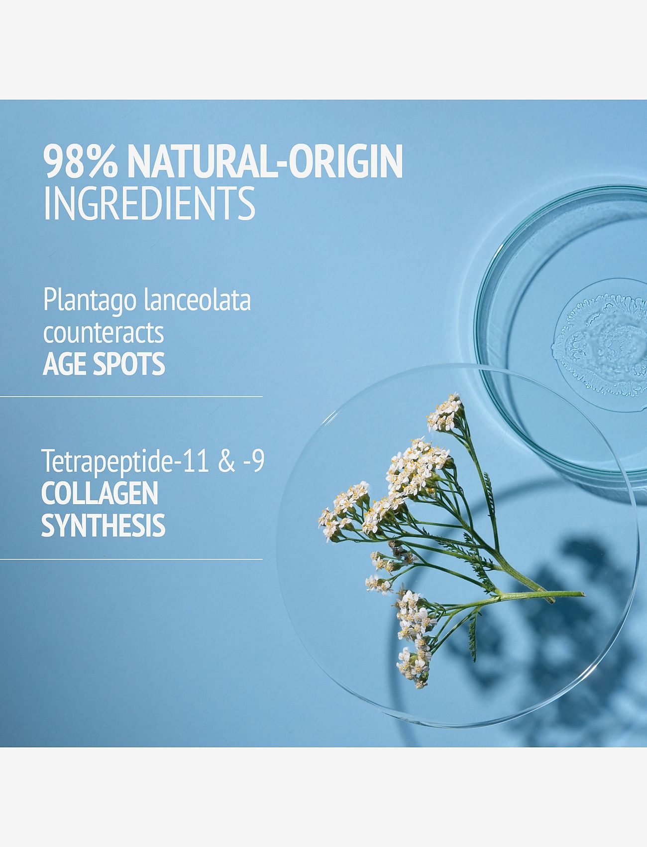 Comfort Zone - Sublime Skin Cream - fuktkrämer - clear - 3