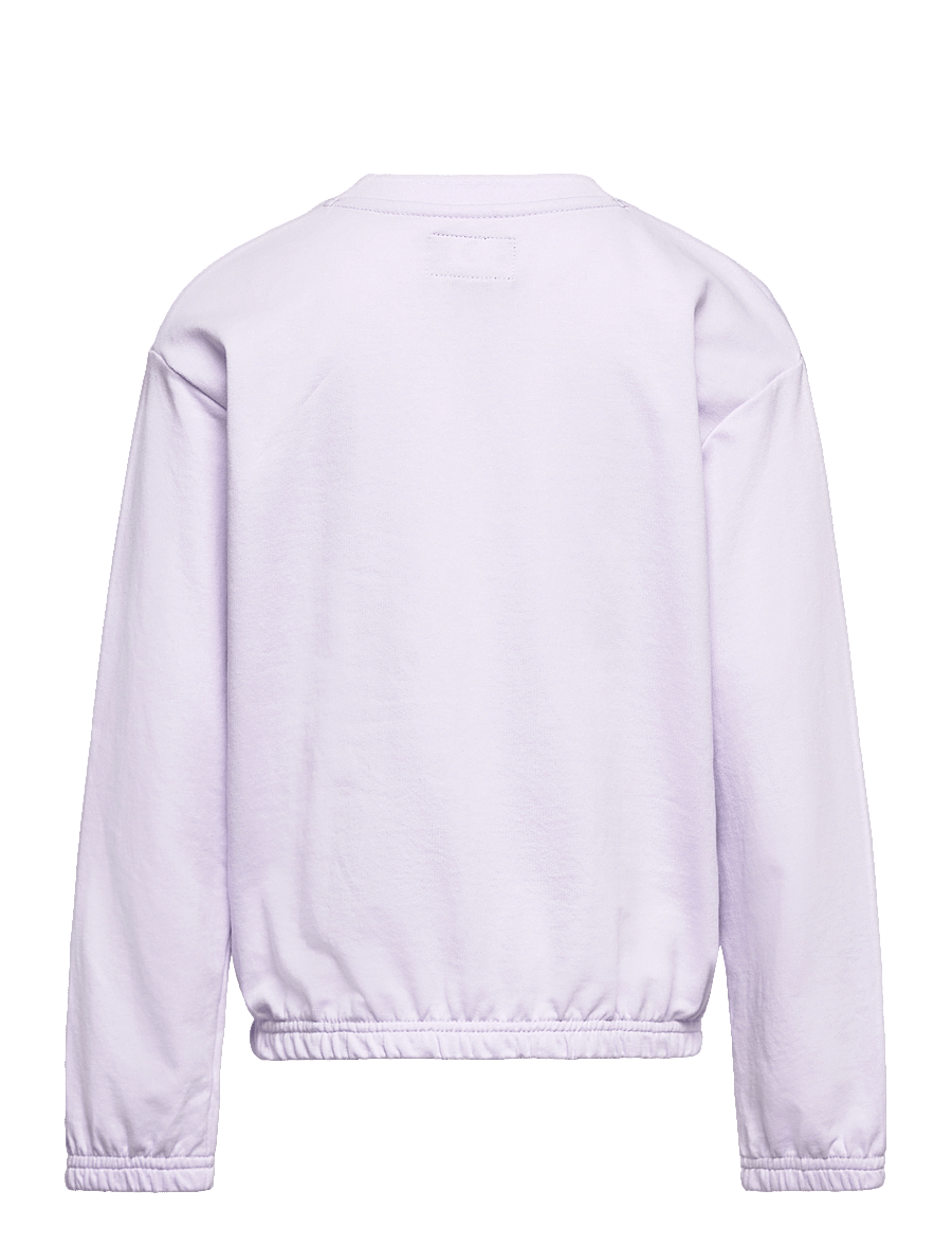 Converse - FW-CREW - swetry - vapor violet - 1