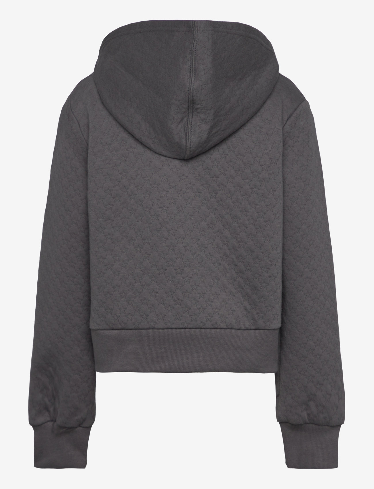 Converse - CNVG STAR POINTELLE FULL ZIP H - hættetrøjer - dark matter - 1